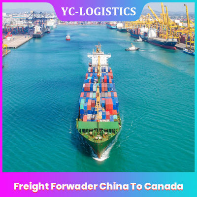カナダへのFOBの貨物運送業者中国