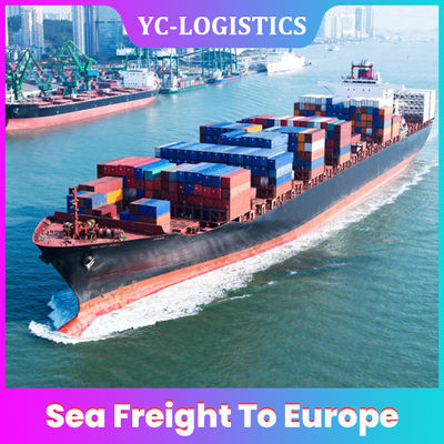 国際的な6から7中国からのヨーロッパへの幾日DDP DDUの海貨物