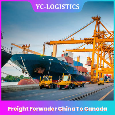 シンセンからの世界的のDDUの海貨物促進サービスへのカナダの貨物運送業者へのFOB EXW中国