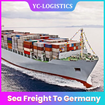 DDP Sea Freight Shipping Company