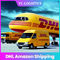 TK米国アマゾンへの5から6日CZ DHLの貨物運送業者中国
