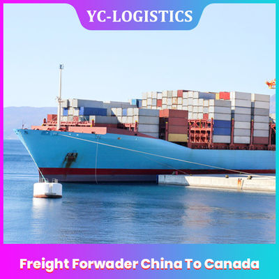 海CIFのドアDDPのカナダへの明白な貨物運送業者中国