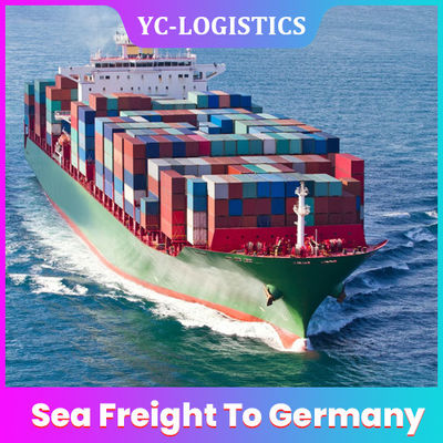 Wednesday Departure Zhejiang Sea Freight Shipping Companyシンセン
