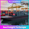 シンセンの低い保険率からのヨーロッパへのFTW1シンセン上海ニンポーの海貨物